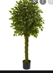 Photo 1 of 5ft Ficus Artificial Tree with Woven Trunk - Nearly Natural
