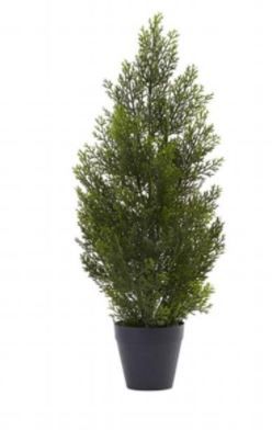 Photo 1 of Nearly Natural 5469 2 ft. Mini Cedar Pine Tree - Indoor & Outdoor