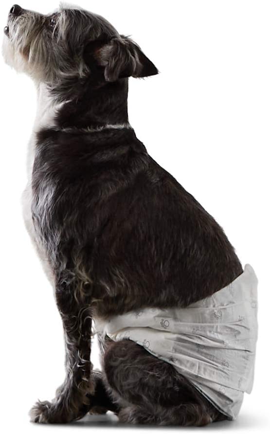 Photo 1 of Amazon Basics Male Dog Wrap, Disposable Diapers
