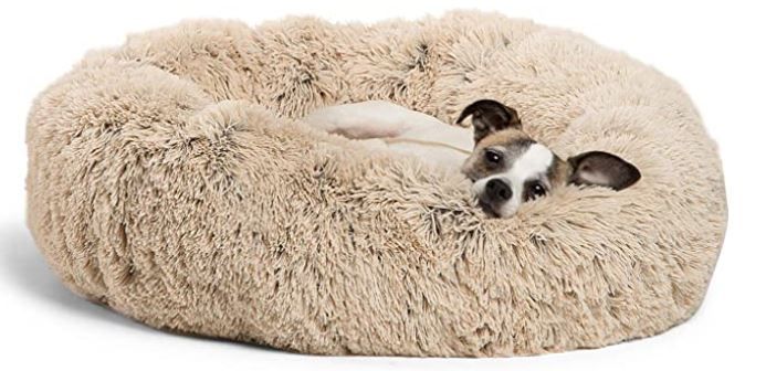 Photo 1 of donut dog bed for dogs or cats small/medium