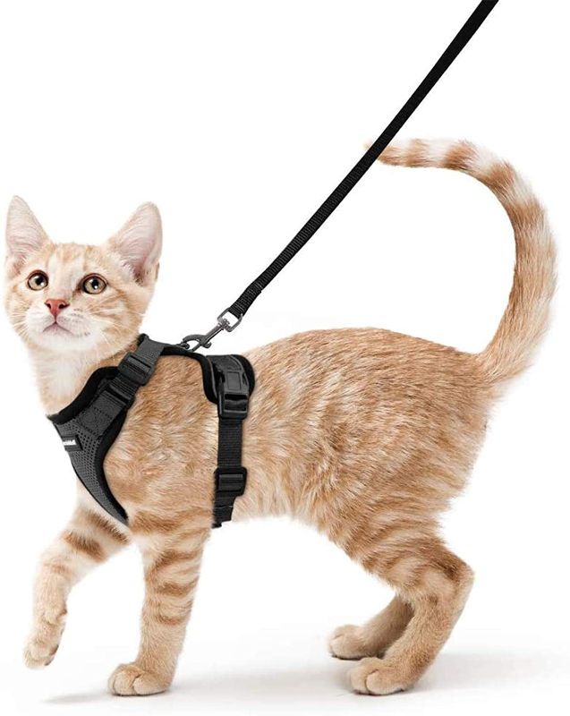 Photo 1 of Avccava Cat Harness and Leash for Walking, Escape Proof Soft Adjustable Vest Harnesses for Cats, Easy Control Breathable Reflective Strips Jacket size XS
