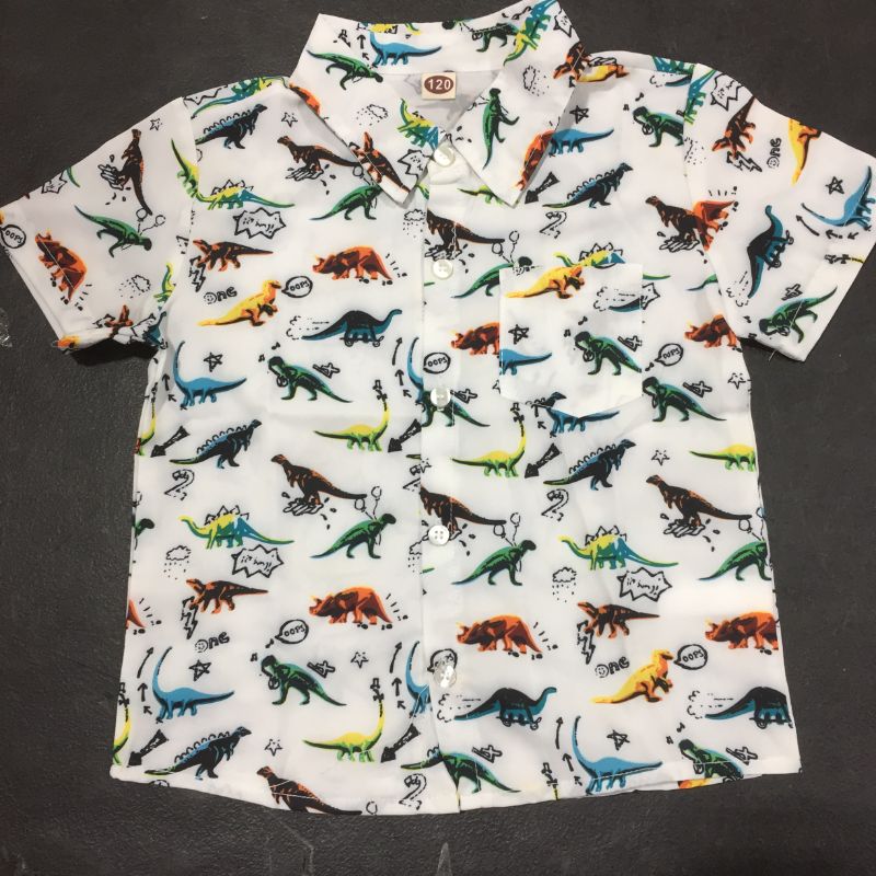 Photo 1 of Childrens dinosaur button up shirt size:120