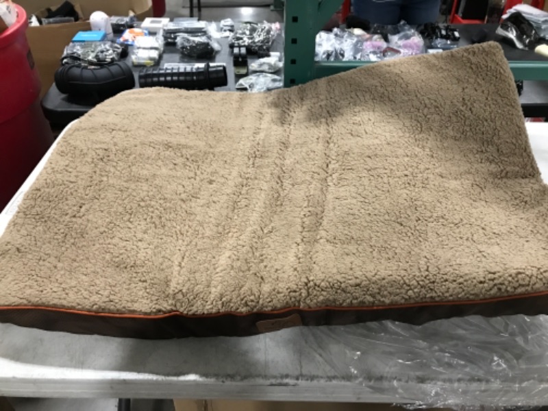 Photo 1 of Brown Large Dog Bed