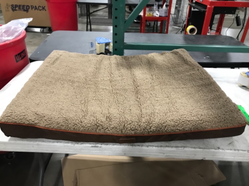 Photo 1 of Brown Medium Dog bed