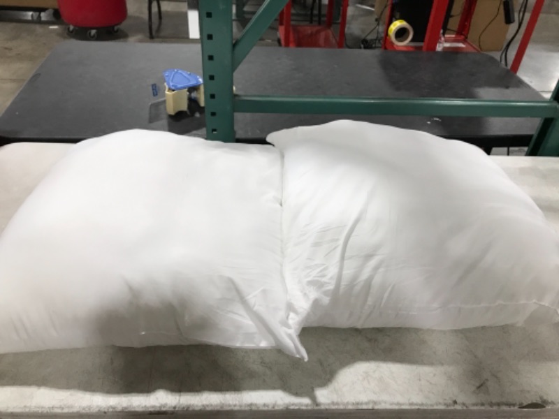 Photo 1 of 2 pack- 22x22 pillows- White