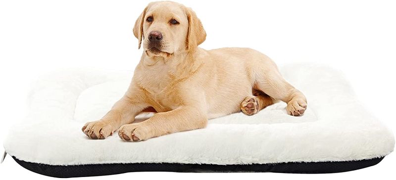 Photo 1 of ANWA Dog Bed Pet Cushion Crate Mat Soft Pad Washable and Cozy for Medium Large Dog
