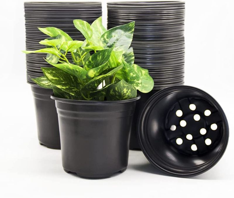 Photo 1 of 100-Pack 0.5 Gallon Flexible Plant Nursery Pots?Thickened Soft Plastic Seedling Pots,Seed Starting Pot Flower Plant Container for Succulents, Seedlings, Cuttings, Transplanting
