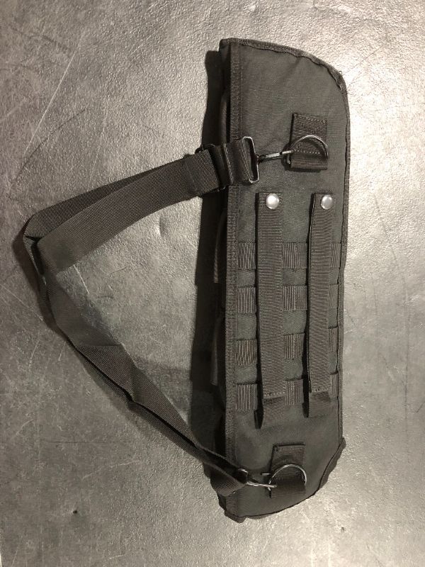 Photo 1 of 19 inch Thigh Strapped Carrying Case 