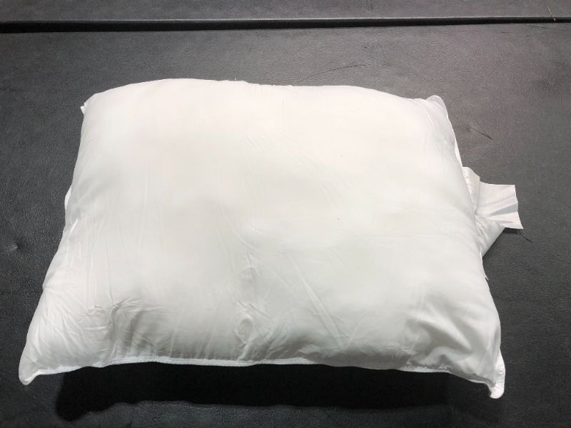 Photo 1 of 20x26 inch White Pillow insert 