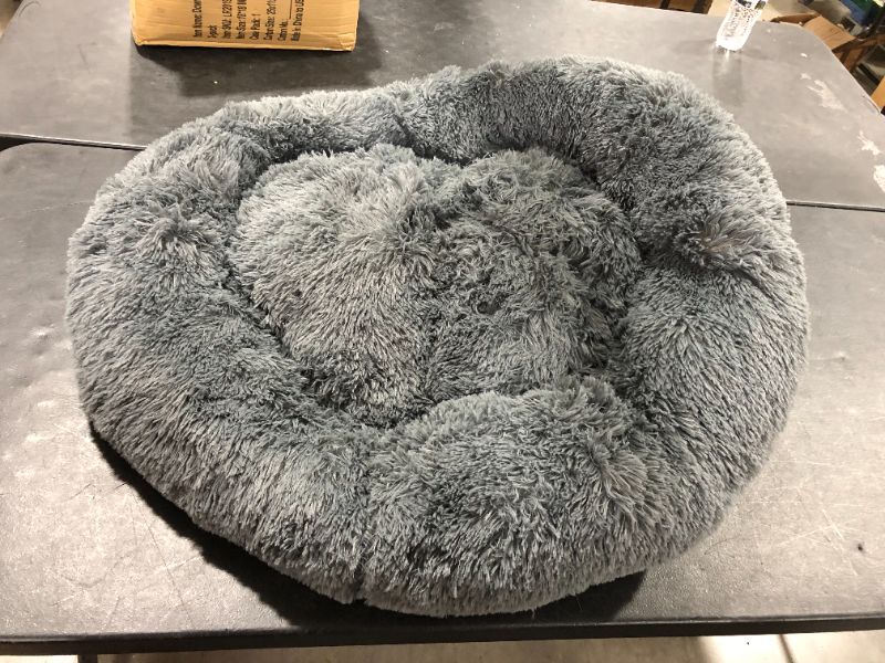 Photo 1 of 22 Grey Dog Bed 