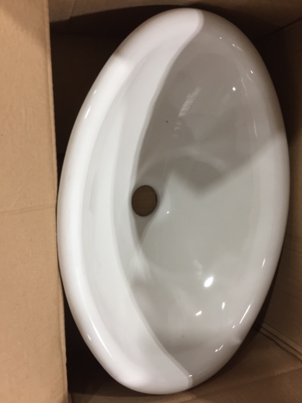 Photo 1 of White Bathroom Sink mold