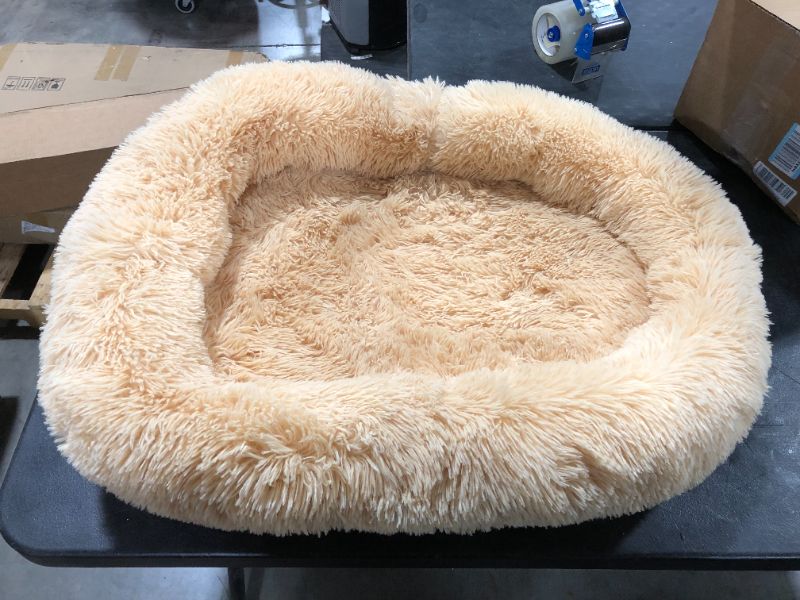 Photo 1 of 32x24 inch Yellow Dog Bed 