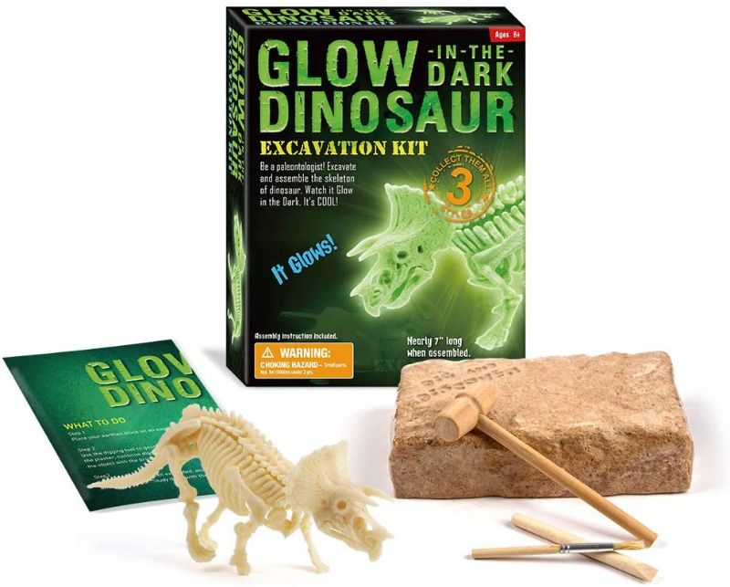 Photo 1 of zhiyu&art decor Dinosaur Excavation Kit,Glow in The Dark Dino Fossil Dig Kit for Kids Dino Assemble Model (Off-White Triceratops)
