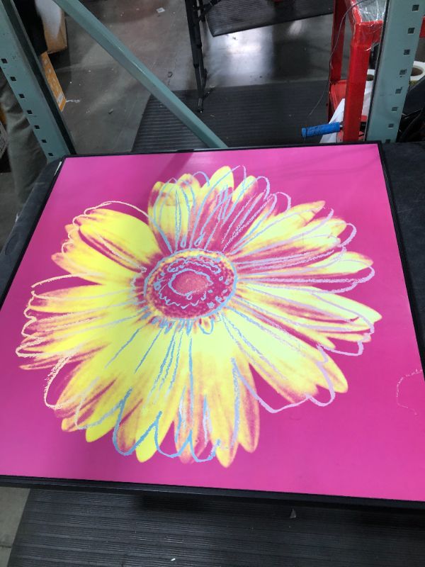 Photo 1 of 36 x 36 Pink Background Yellow Flower Picture 