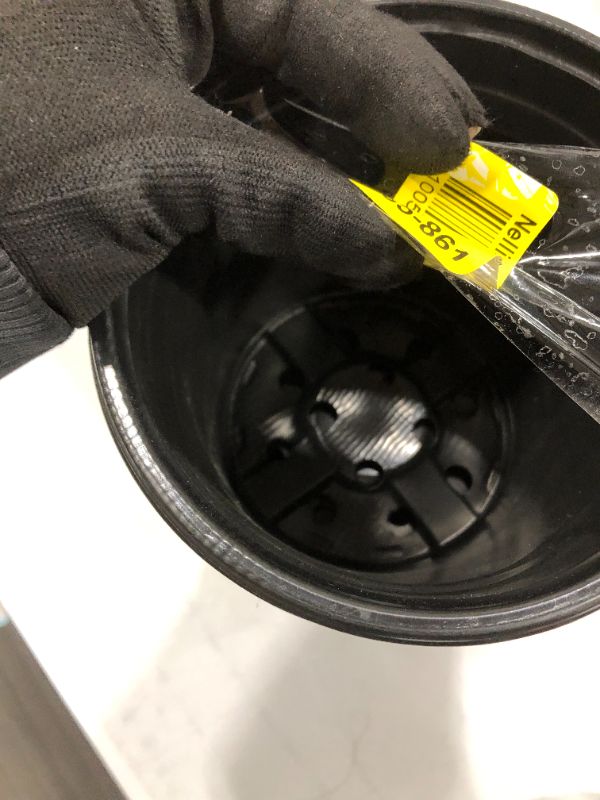 Photo 3 of 0.5 gallon PLASTIC Black POTS (30CT)