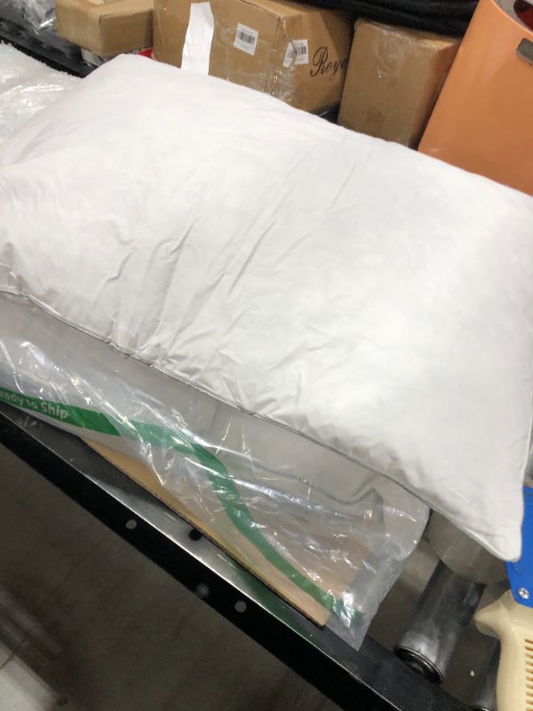 Photo 1 of 2pk of White Pillows