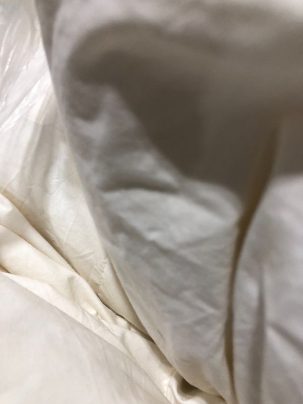 Photo 1 of APSMILE Luxurious All Seasons Goose Feathers Down Comforter Full/Queen Size Duvet Insert - Ultra-Soft 750 Fill-Power Hotel Collection Comforter, 46 
