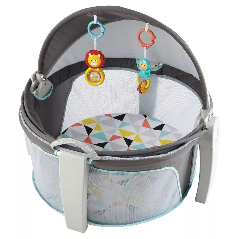Photo 1 of Fisher-Price On-the-Go Baby Dome
