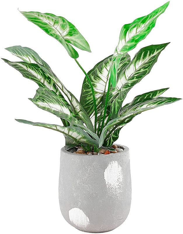 Photo 1 of InDrah Artificial Potted Plants 16 Inch Small Fake Greenery Plants Faux Plants for Home Decoration Office Desk Top Tabletop Decor (Taro Leaf)
