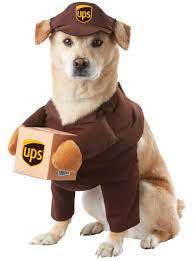 Photo 1 of California Costumes UPS Pal Pet Halloween Costume (M)