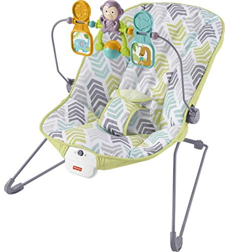 Photo 1 of Fisher-Price Baby Bouncer, Arrow Dynamic