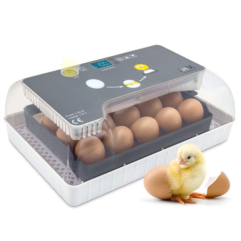 Photo 1 of Jumbl Clear Egg Incubator, Fully Automatic Digital Poultry Hatching Machine, Temperature Control & Automatic Egg Turner, LED Candler, Mini 12-35 Egg Incubator Breeder for Chicken, Ducks, Birds & More
