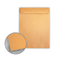 Photo 1 of Kraft Envelopes -  Catalog (10 x 12) 