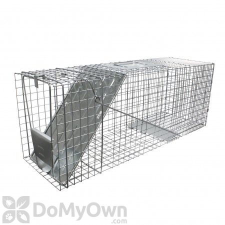 Photo 1 of Havahart Cage Trap Model 1079
