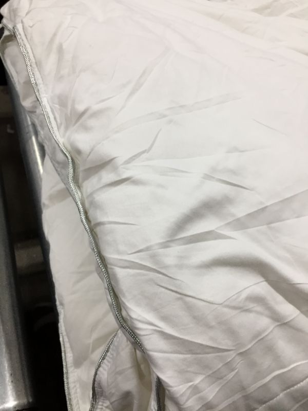 Photo 1 of APSMILE Luxurious All Seasons Feathers Down Comforter Full/Queen Size Duvet Insert
