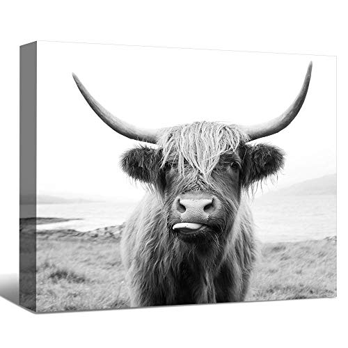 Photo 1 of Ashley Furniture Signature Design - Pancho Highland Cow Wall Art - Casual - Black/White 48 x 32 