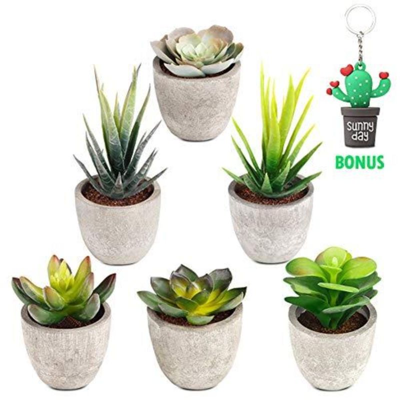 Photo 1 of Artificial Succulent Plants Potted, Set of 6 Mini Artificial Plants with Pots Assorted Decorative Faux Succulents in Pots