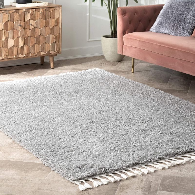 Photo 1 of nuLOOM Neva Plush Shag Accent Rug, 2' x 3', Grey

