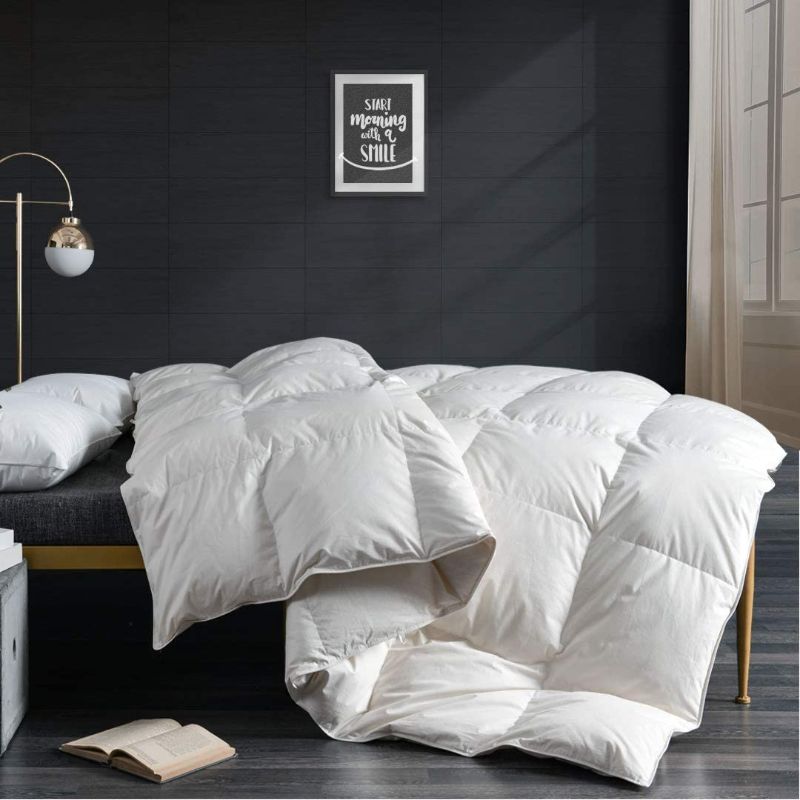Photo 1 of APSMILE Goose Down Comforter Duvet Queen Size, All Seasons Down Duvet -Organic Cotton, 750 Fill-Power 42oz Medium Warm Hotel Comforter Insert, 90x90, Ivory White
