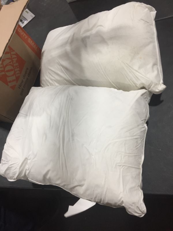 Photo 1 of 2 pack goose down pillows 20x26 inch 