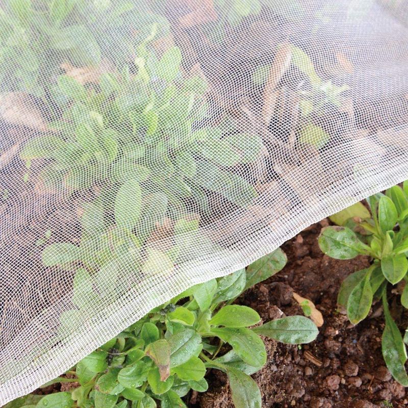 Photo 1 of 3pk Bug Net Mesh Netting for Plants, Bird Net Insect Plant Netting, Plant Covers Protect Vegetables Fruits Trees Flower 3x2m