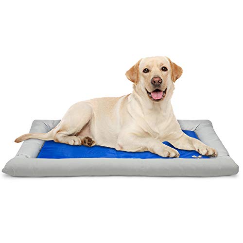 Photo 1 of Arf Pets Dog Self Cooling Bed Pet Bed Solid Gel Based Self Cooling Mat for Pets, Includes a Foam Based Bolster Bed for Extra Comfort