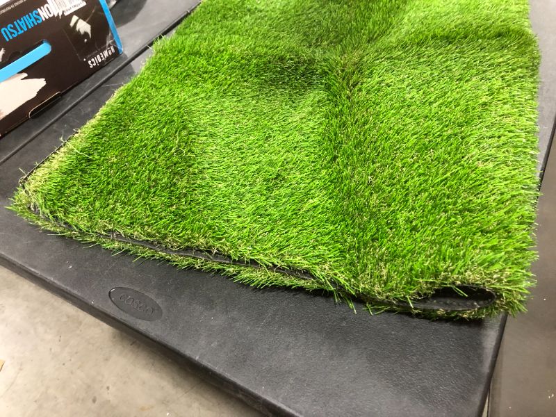 Photo 2 of 48 X 32 INCHES ARTIFICIAL GRASS PATCH