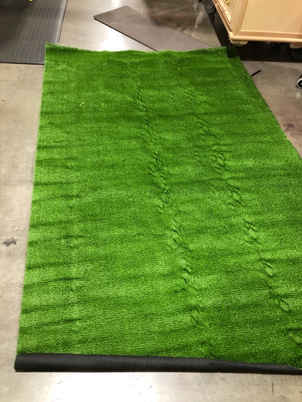 Photo 3 of 90 x 60 turf grass