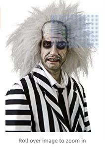 Photo 1 of Rubie's Beetlejuice Halloween Costume Wig
