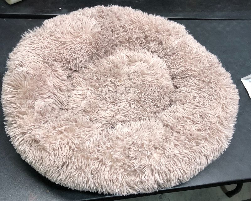 Photo 1 of BROWN DOG BED SMALL/MEDIUM