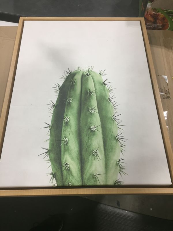 Photo 4 of 18" x 24" Sylvie Home Cactus Framed Canvas by Simon Te Tai Natural