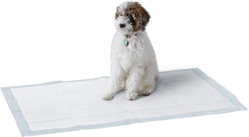 Photo 1 of Amazon Basics Dog and Puppy Pads, Leak-proof 5-Layer Pee Pads with Quick-dry Surface for Potty Training
