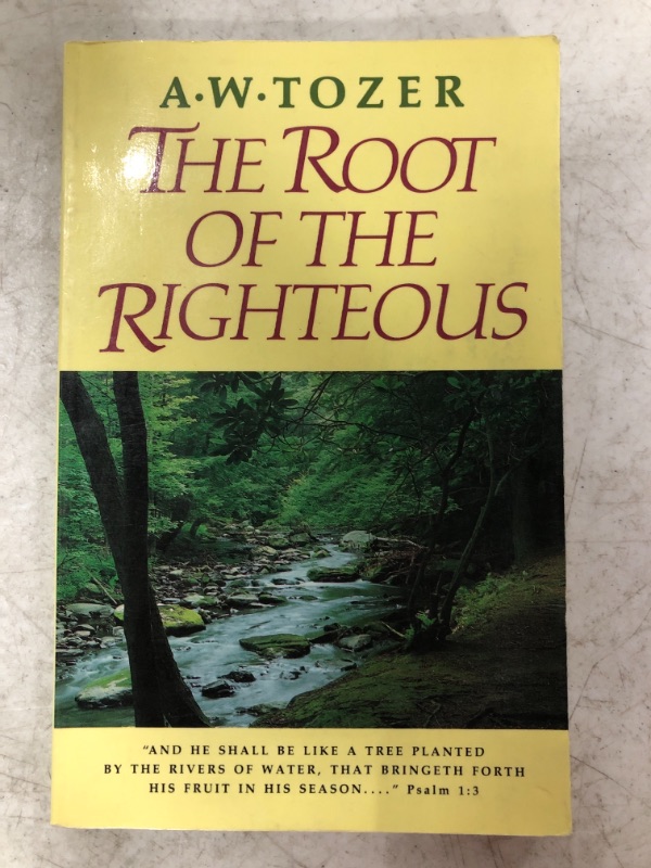 Photo 2 of The Root of the Righteous Paperback – June 1, 2015
