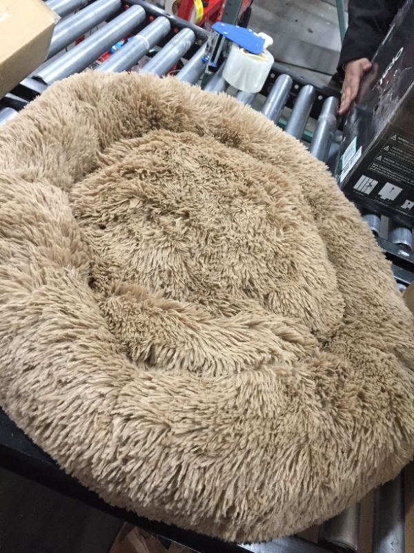 Photo 2 of 30" Diameter dog bed, brown