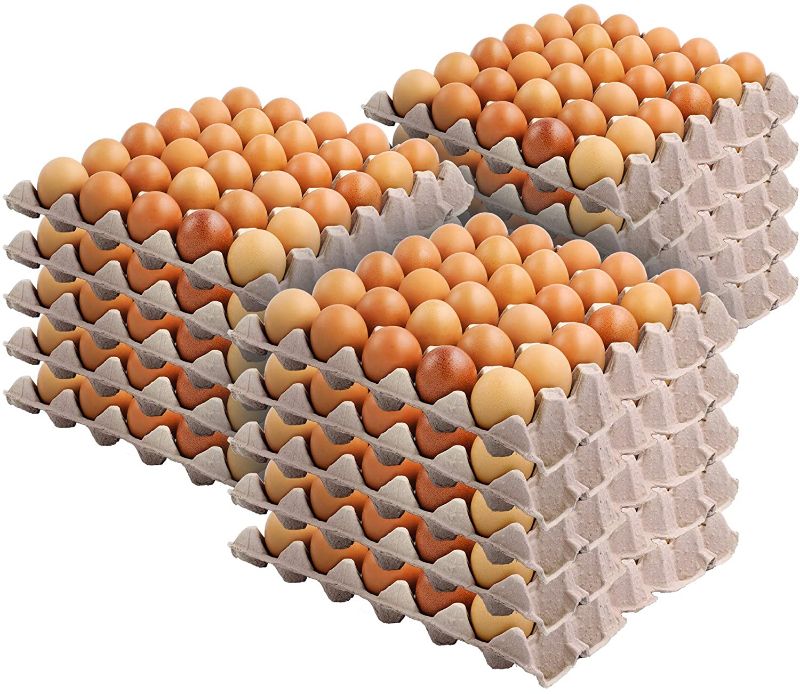 Photo 1 of 30-Cell Egg Crates (15 Pack) - Recyclable & Stackable Pulp Fiber Egg Flats for Egg Packing, Small Tools, Automotive Parts, Roach Colony - Cardboard Egg Cartons for Soundproofing - Stock Your Home