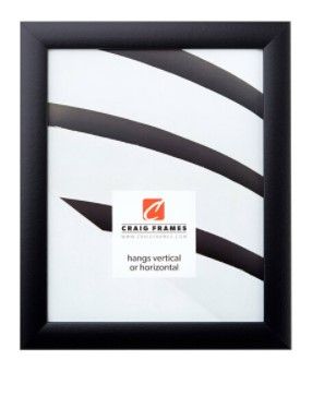 Photo 1 of Craig Frames Contemporary Picture Frame, 17 x 21 Inch, Black