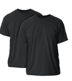 Photo 1 of 2 PACK - Gildan Men's Ultra Cotton T-Shirt, Style G2000, Multipack SIZE 2XL