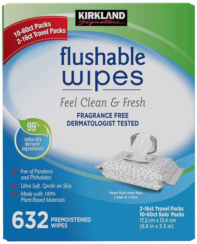 Photo 1 of 10 PACK -Kirkland Signature Enhanced Cleansing Moist Flushable Plant-Based Wipes (632 Count) W/Moist Towelettes