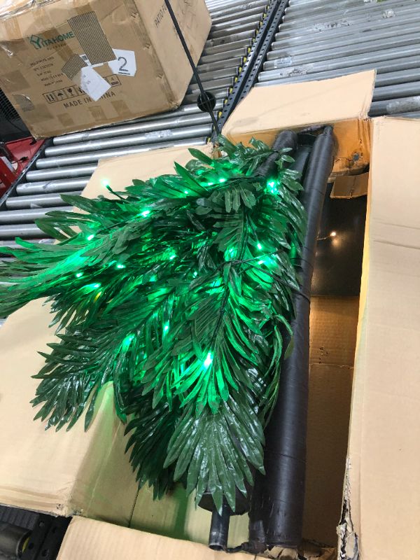 Photo 5 of  Lighted Palm Tree, Large  