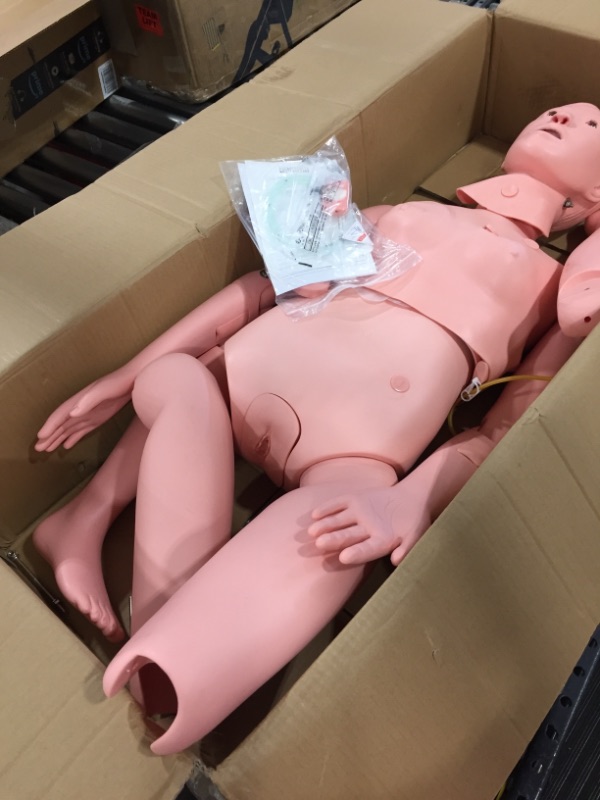 Photo 3 of VEVOR Manikin for The Cure of The Patient Didactic Material in PVC Medical Training Teaching Manikin Model Woman for Teaching at School of Nursing Medicine  46.06 x 18.11 x 9.84 inches; 21.45 Pounds
